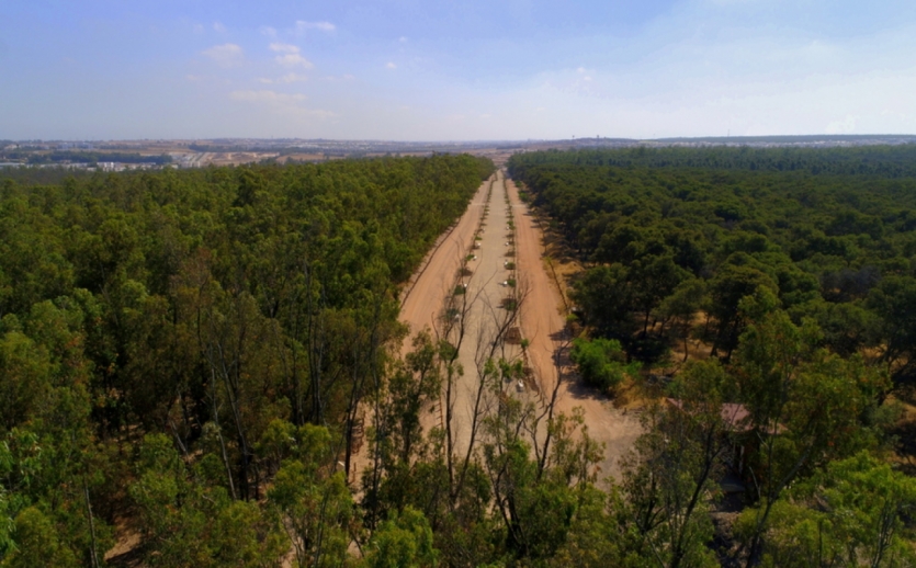 Forêt de Bouskoura-Merchich