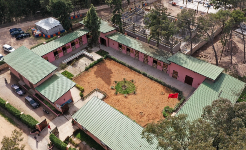 Forêt de Bouskoura-Merchich