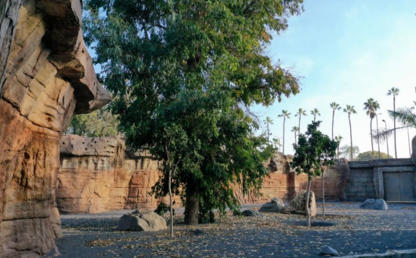 Parc Zoologique Aïn Sebaa